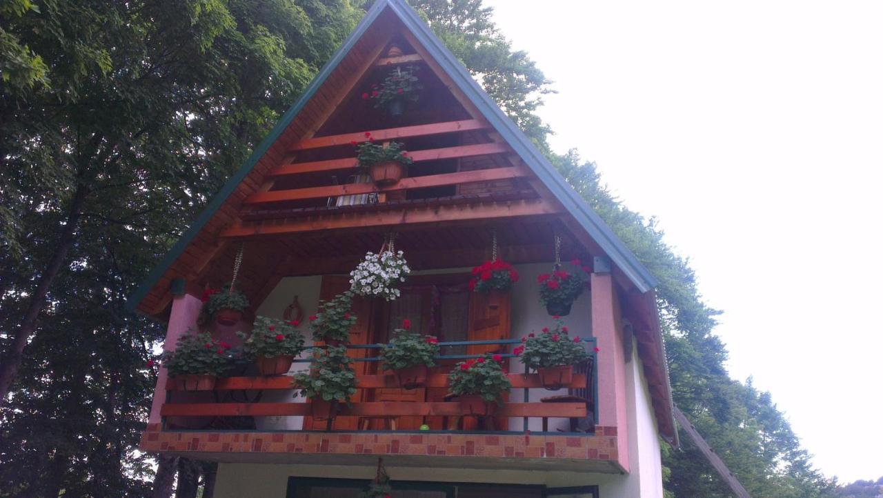 House Jaksic Žabljak Buitenkant foto