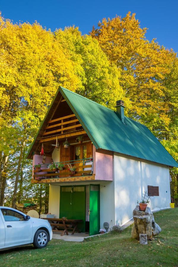 House Jaksic Žabljak Buitenkant foto